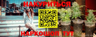 трава Кимры