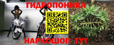 гашиш Кингисепп