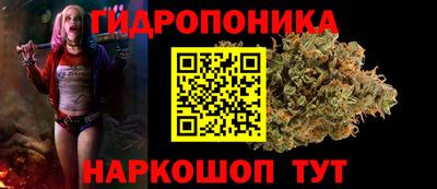 трава Кимры