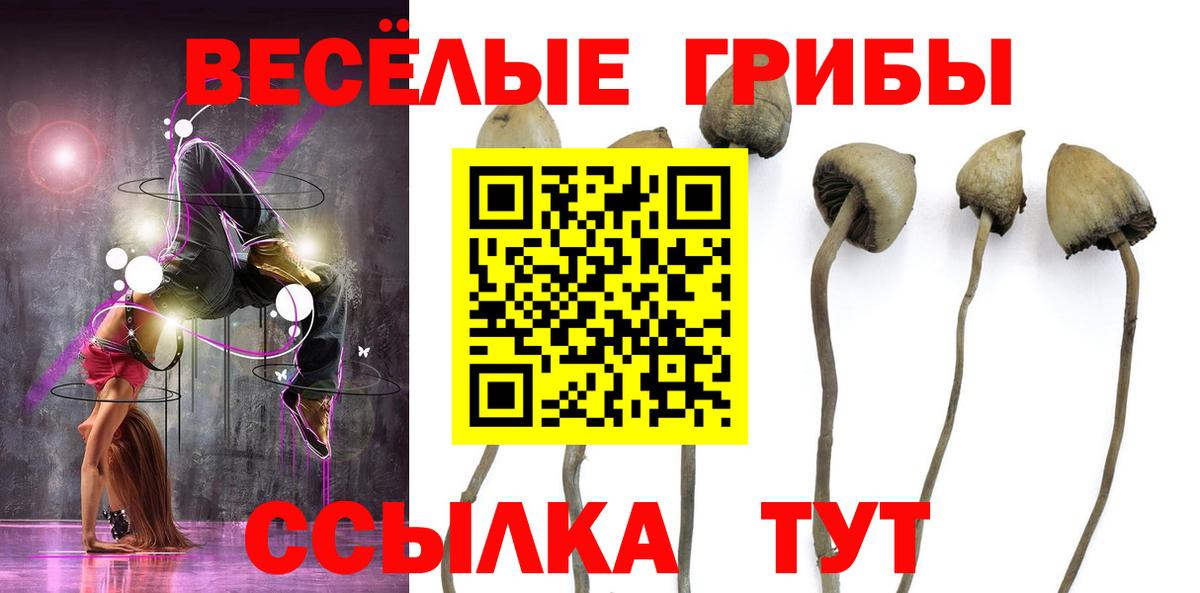 Галлюциногенные грибы прущие грибы Куйбышев