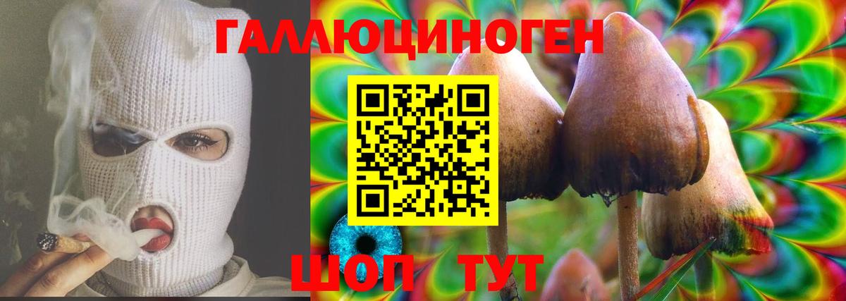 Галлюциногенные грибы Psilocybe  Вход с VPN  Псилоцибиновые грибы GOLDEN TEACHER  Куйбышев 